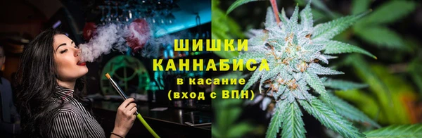 сатива Карпинск