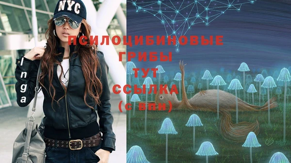 кокаин премиум Каменск-Шахтинский