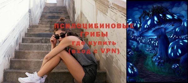 сатива Карпинск